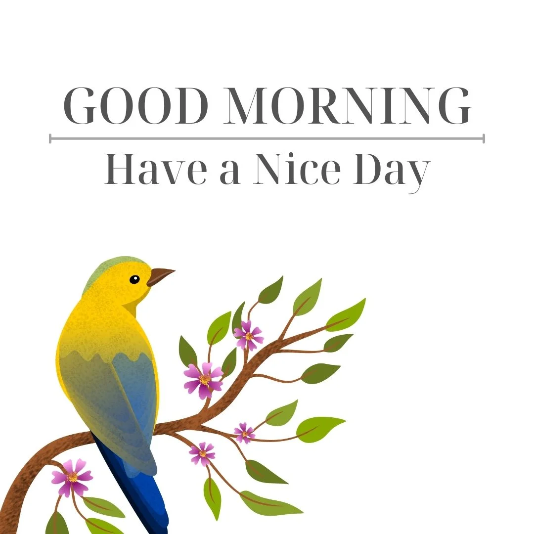80+ Good morning images free to download 35